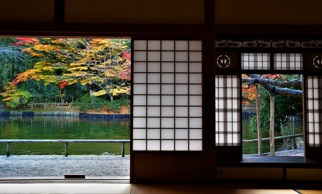 紅葉の便り