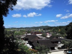 秋晴れ