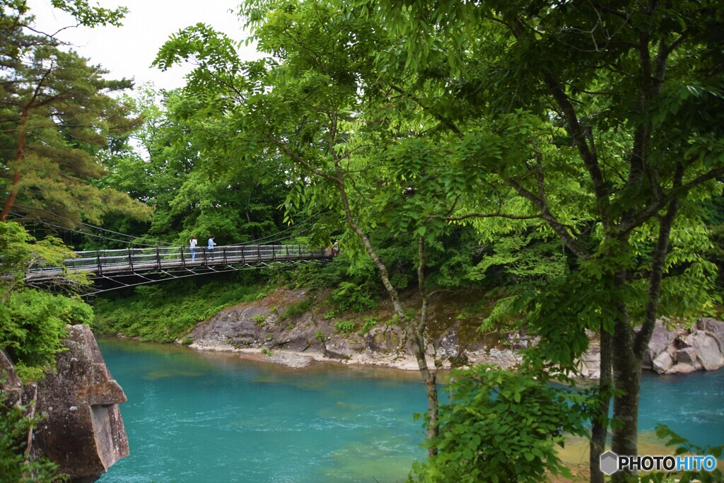 揺れる想い・・（ ’19初夏）