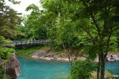 揺れる想い・・（ ’19初夏）