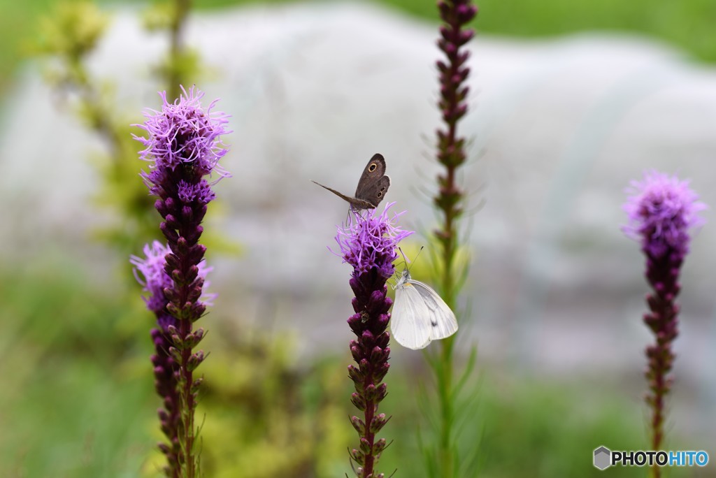 水分補給しなきゃ？