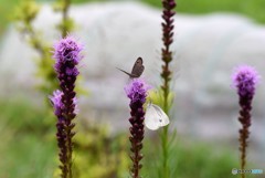 水分補給しなきゃ？