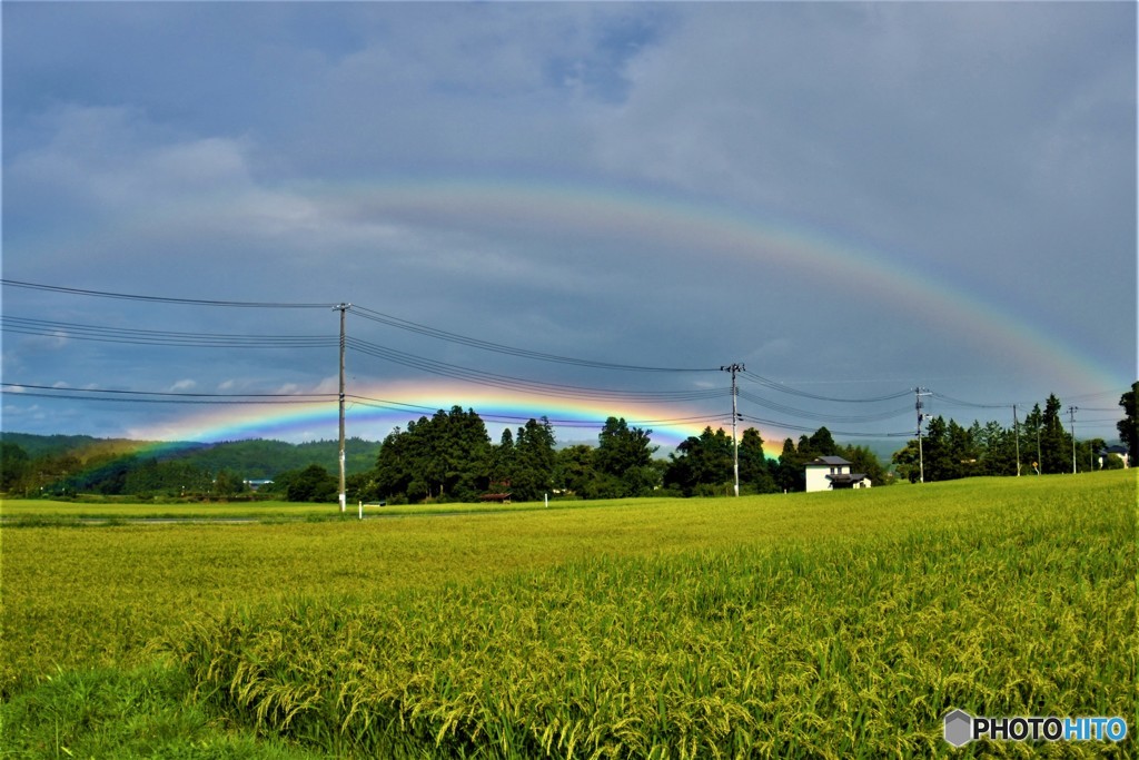 雨上がり