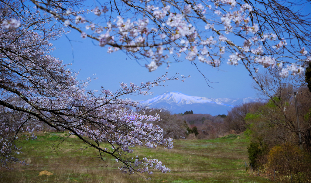 里山の春景