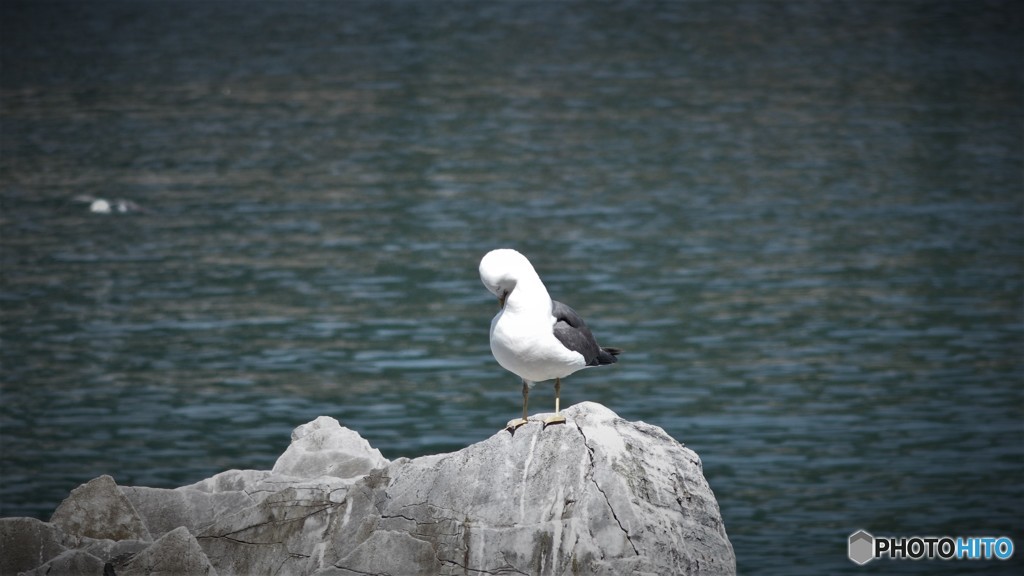 チョット居眠り