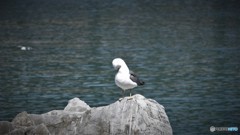 チョット居眠り