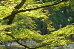 爽やかな風が吹いている・・