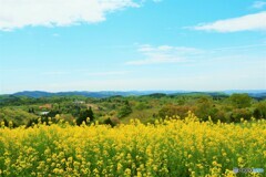 爽やかな風が吹いている