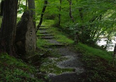 鎮守の森に続く路