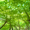 ～9月の風のように～