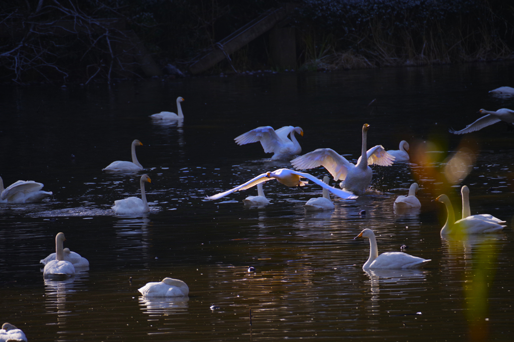 朝の静寂が終わるとき・・