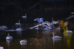 朝の静寂が終わるとき・・