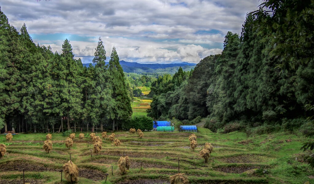 里山の秋　２