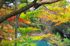 渓谷の秋景