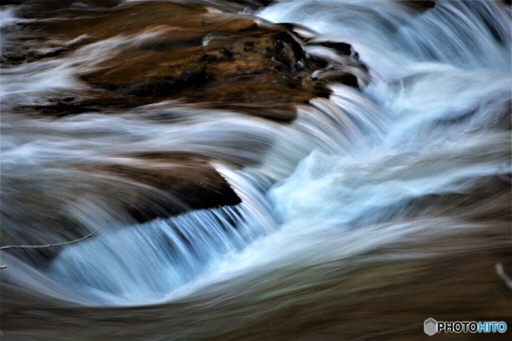 春のざわめき・・！