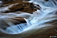 春のざわめき・・！