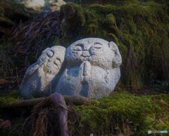 幸多い年でありますように！