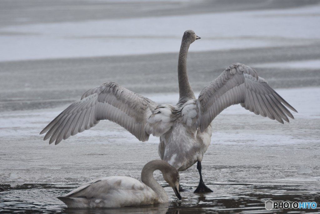 こんなにも逞しく・・