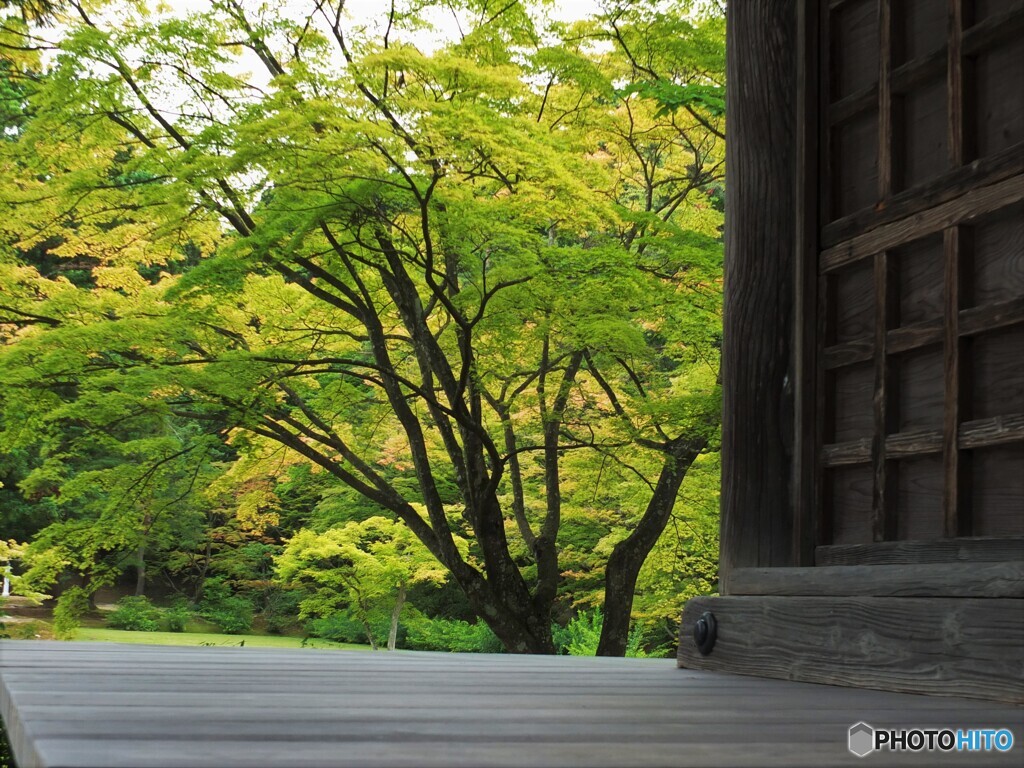 秋の訪れを感じて・・