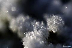 氷結