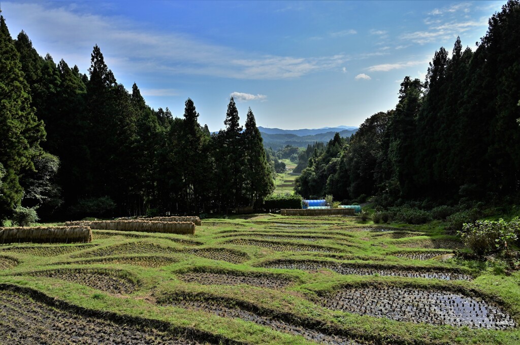 郷愁