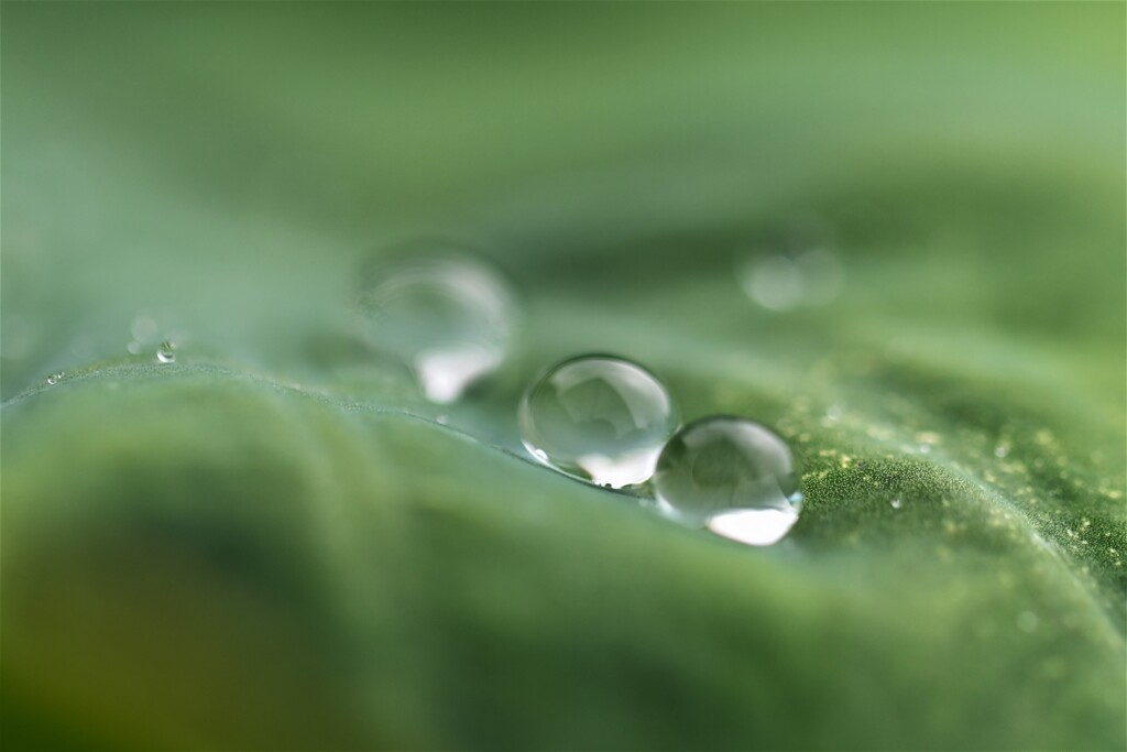 雨のち晴れ