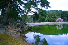毛越寺（平泉）