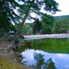 毛越寺（平泉）