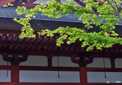 刻の狭間