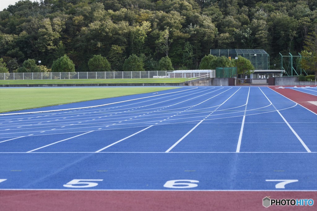 歓声が聞こえてくる・・・