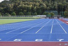 歓声が聞こえてくる・・・