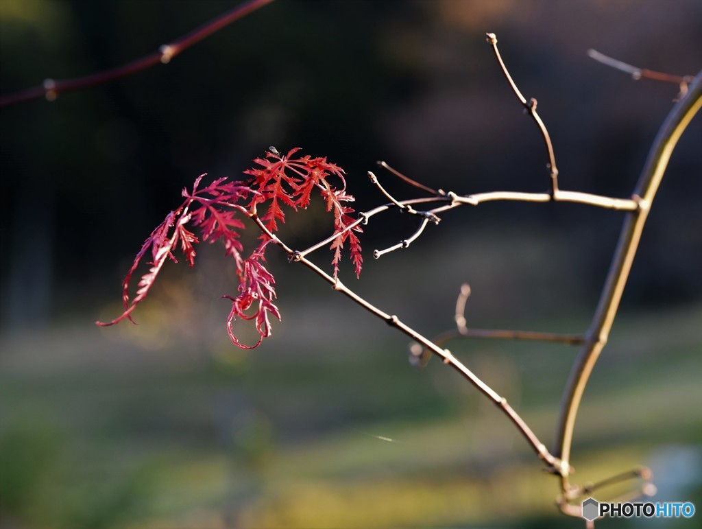 みんなは何処に・・