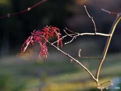 みんなは何処に・・