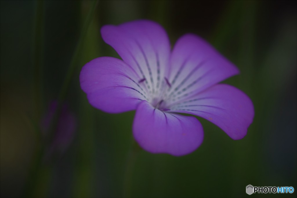 日が暮れて・・