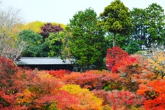 東福寺