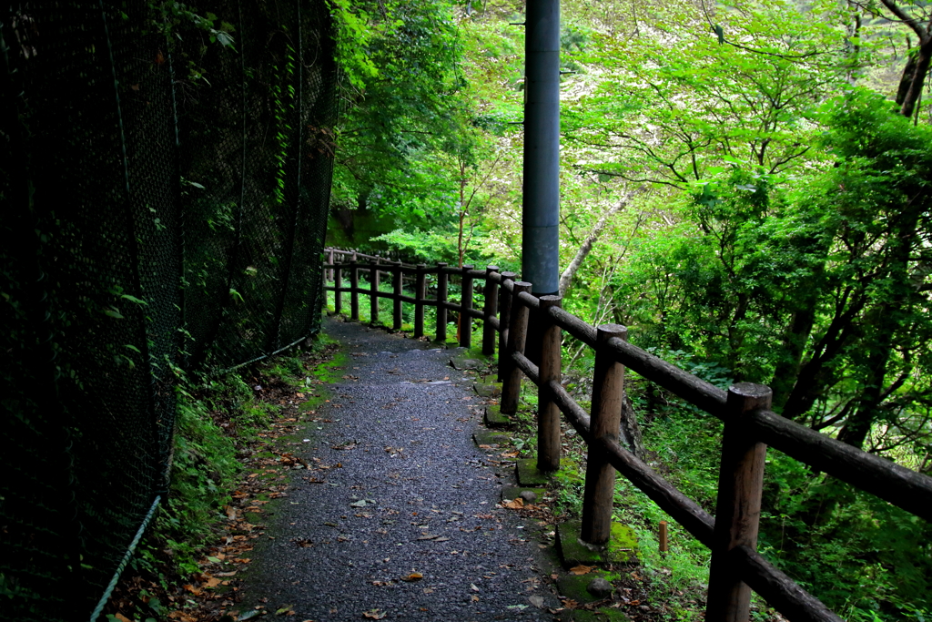 風の通り道