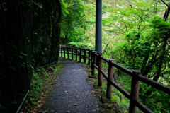 風の通り道