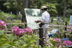 万博記念公園「あじさい祭」