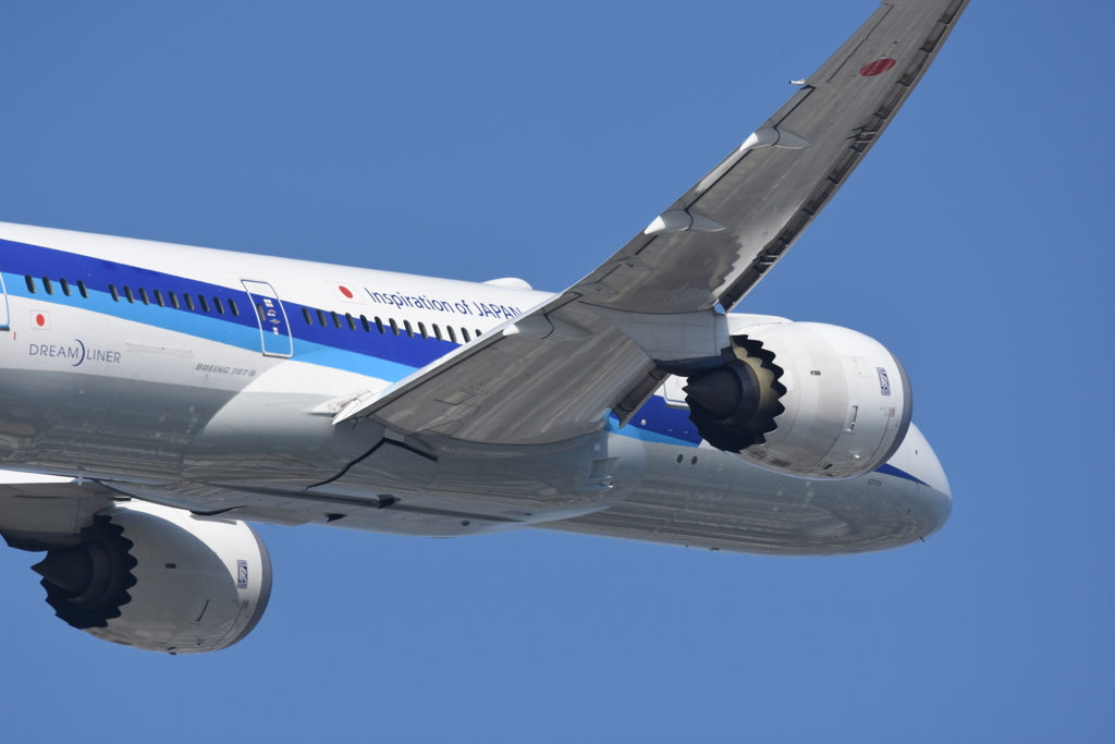 夏の787