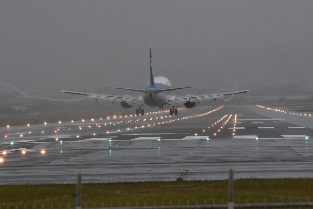 やっぱり雨