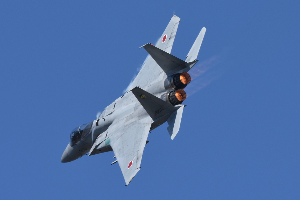 機動飛行