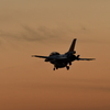 Ｆ-２でナイト