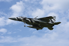 ゼブラに空