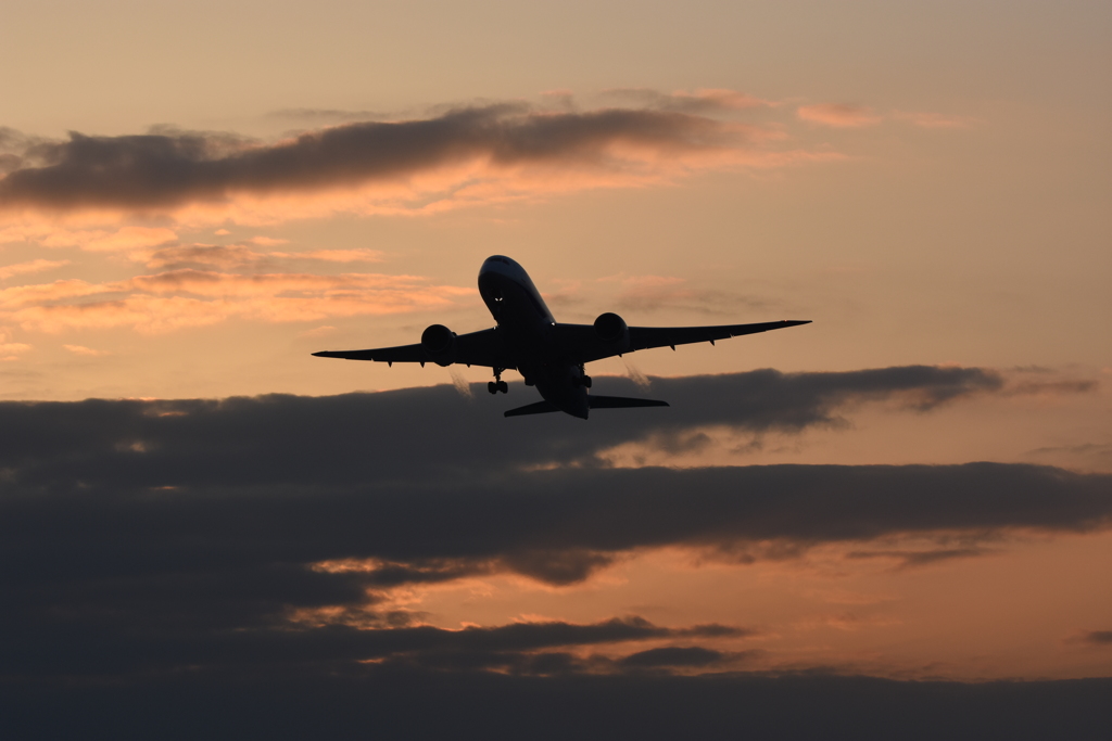 787と朝