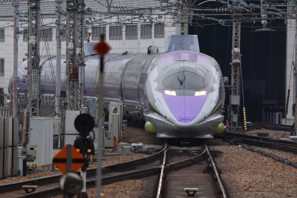 500 TYPE EVA