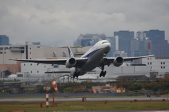 雨の合間に