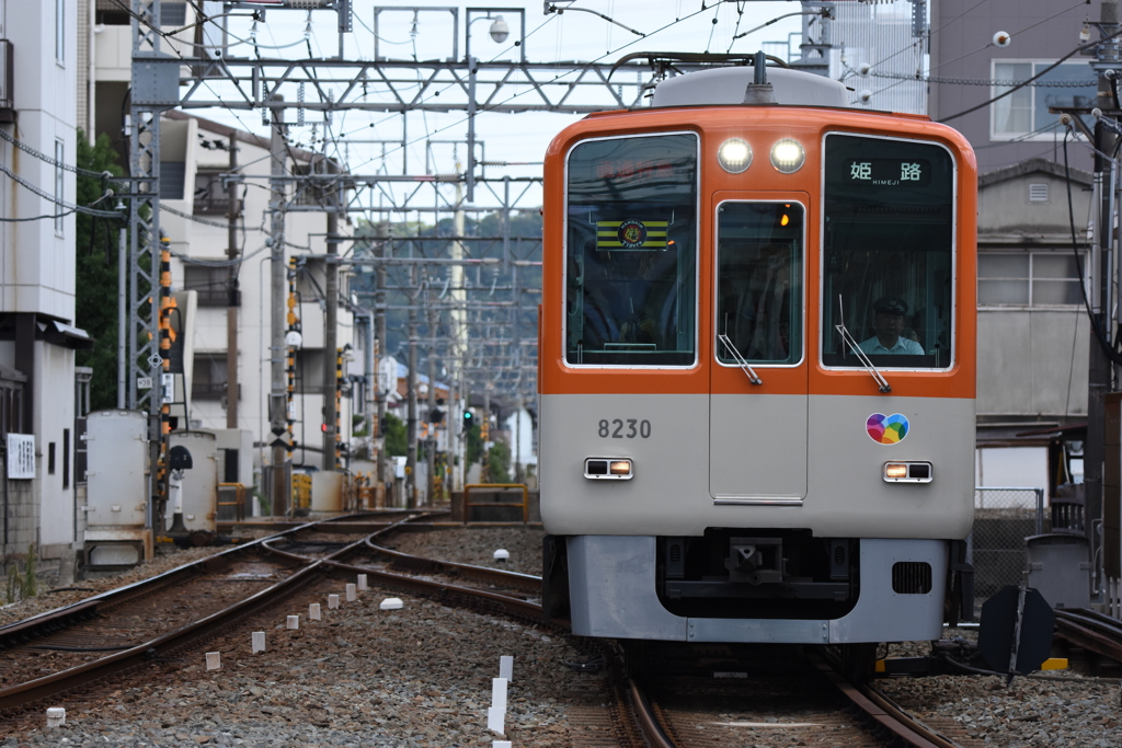 正面