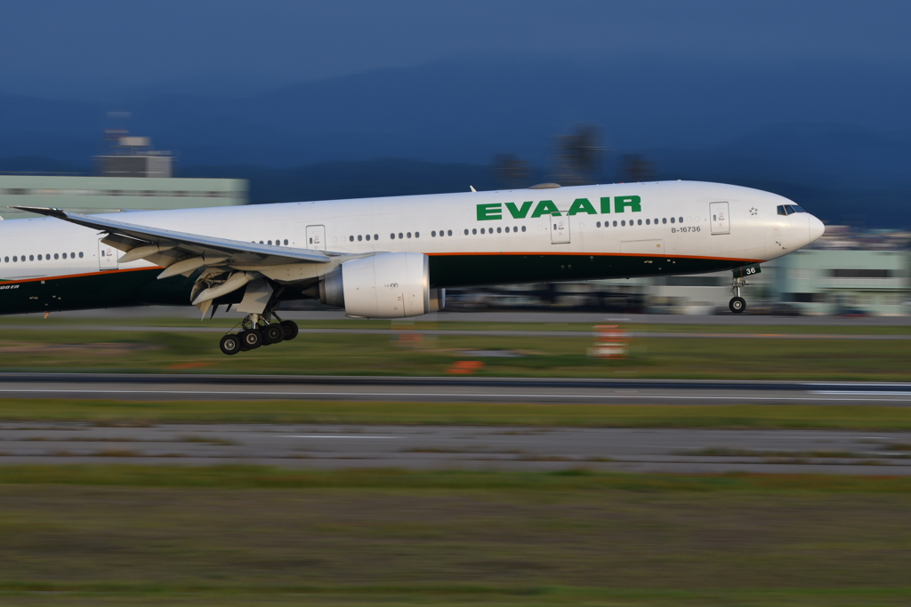 国際線空港