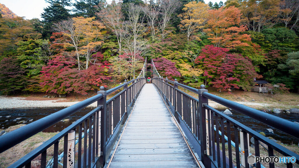紅の吊橋