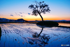 明日香の夕暮れ